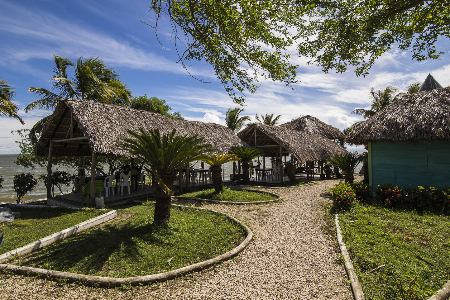 Punta Palmeras