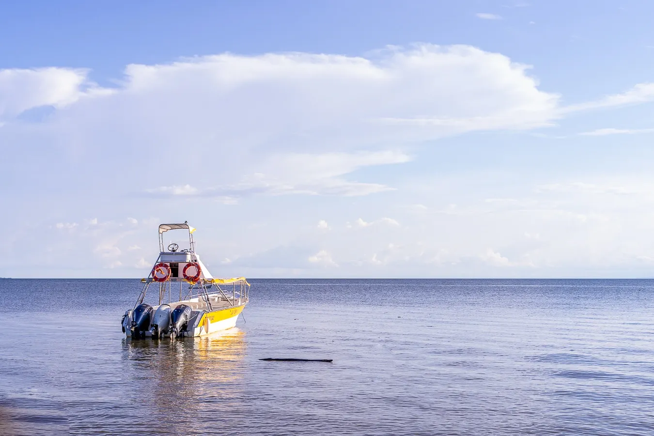 Pesca