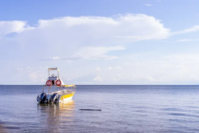 Aventuras en el Golfo