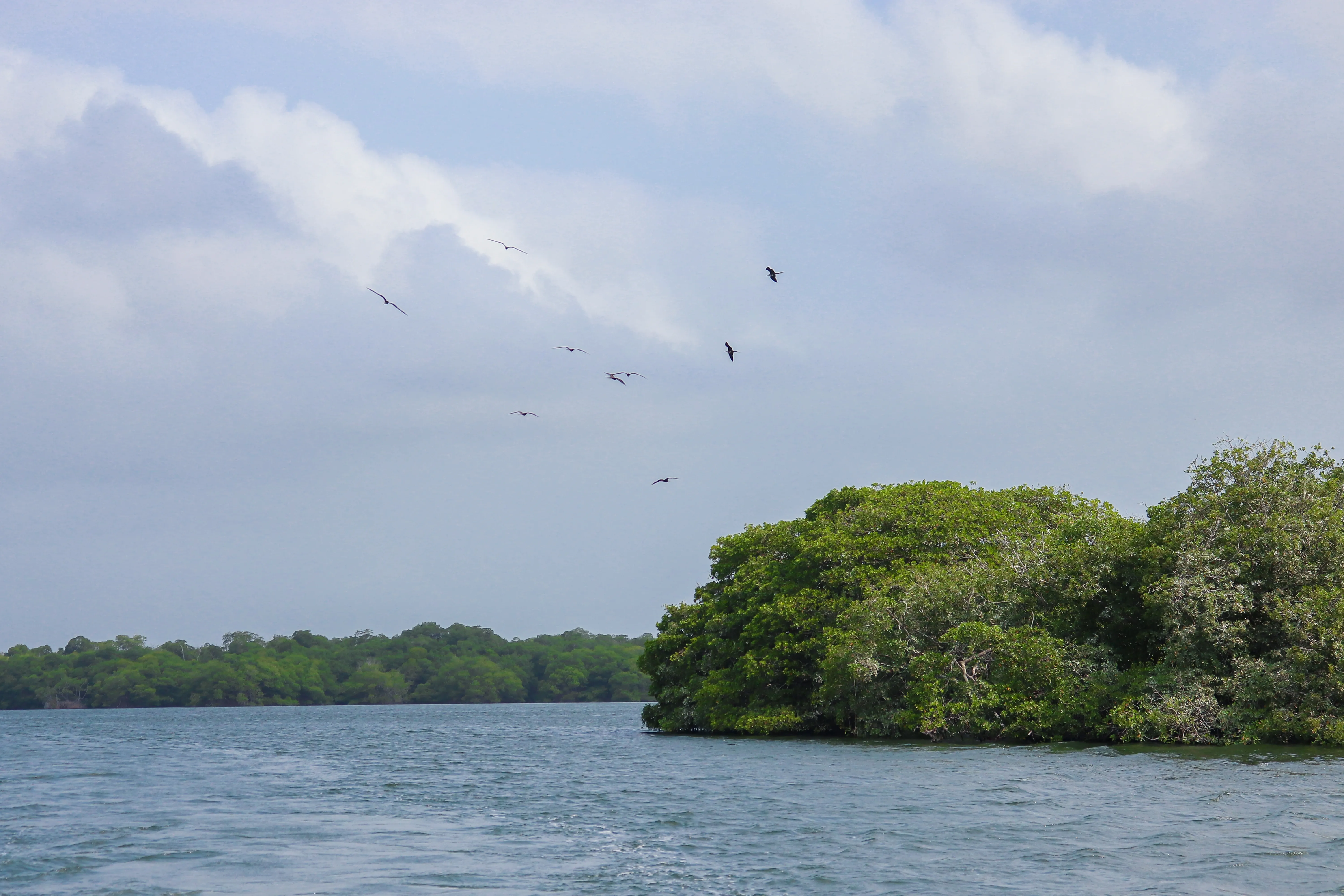 Naturaleza y aventura