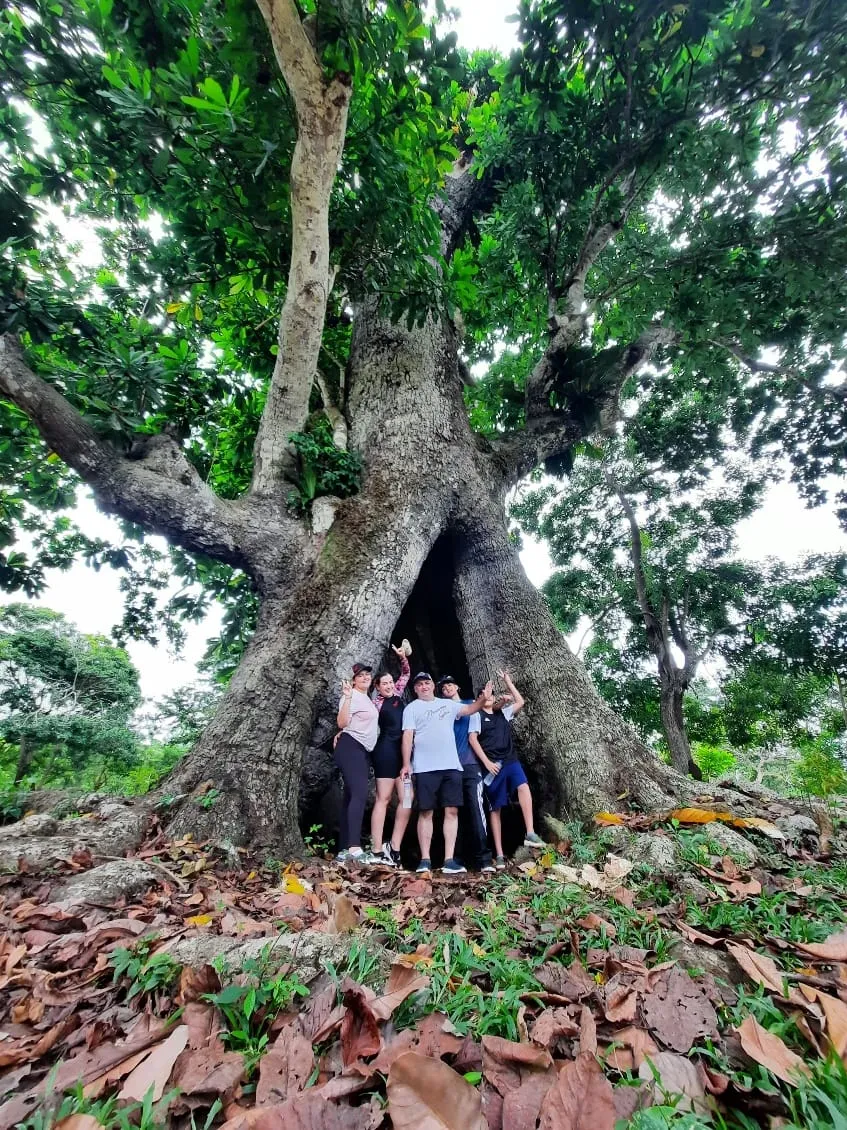 Comida tipica de la region